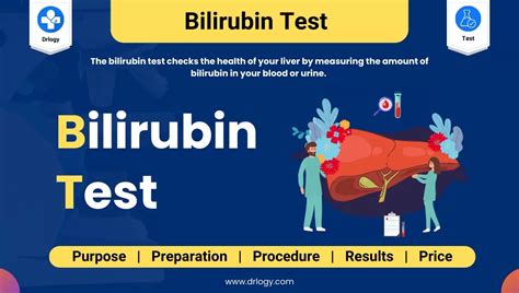 b1 b2 bilirubin|Bilirubin Blood Test: Procedure, Preparation, and Risks .